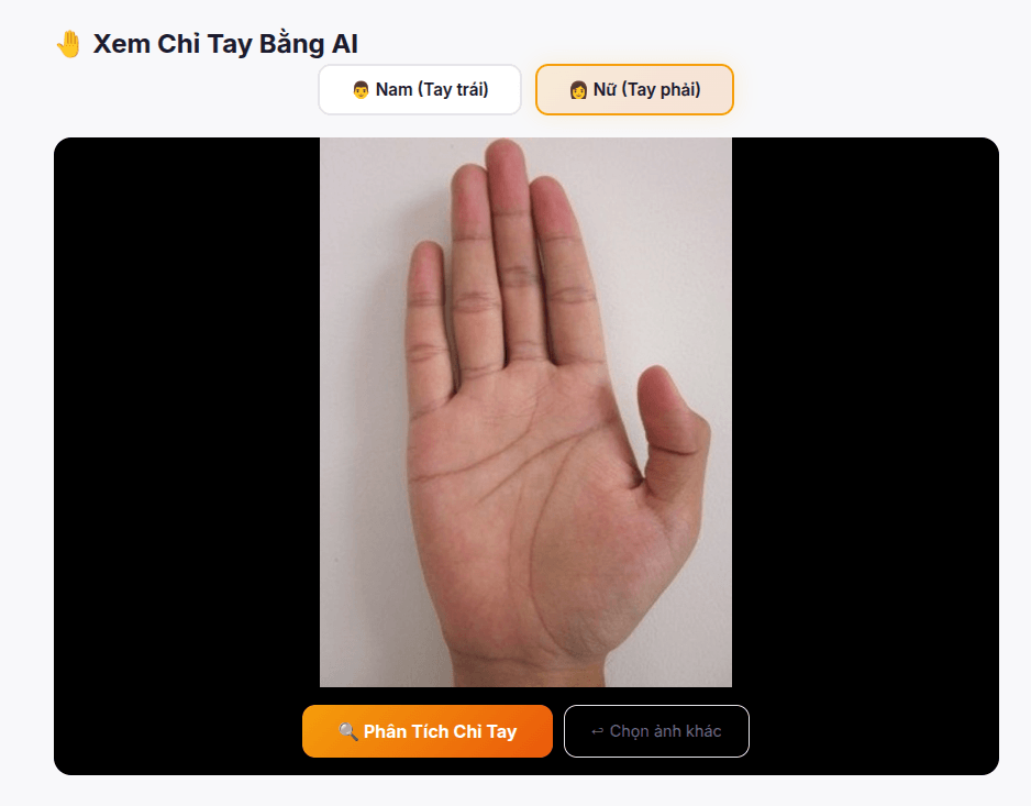 Xem Chỉ Tay AI — Bói Chỉ Tay Online Miễn Phí, Phân Tích 5 Đường Chính